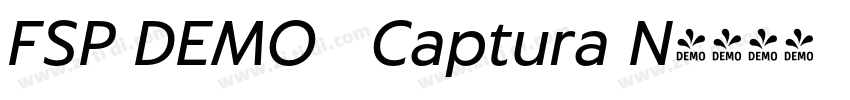 FSP DEMO   Captura N字体转换